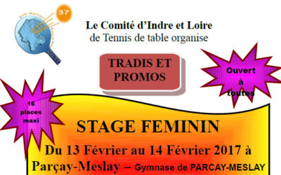 Stage féminin à Parçay-Meslay