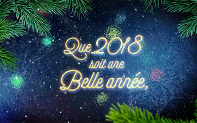 Bonne année 2018 !…