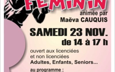 Journée Ping Féminin – Samedi 23 Novembre 2024